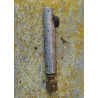 Bomba aceite motosierra Pioneer