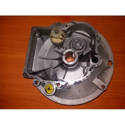 Carter motor Tecumseh