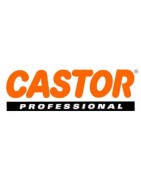CASTOR